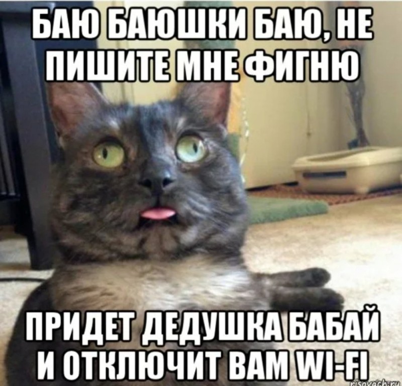 Create meme: memes with cats , cat , signal lost cat