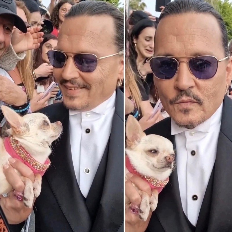 Create meme: johnny Depp , Johnny depp is sad, johnny depp 2022