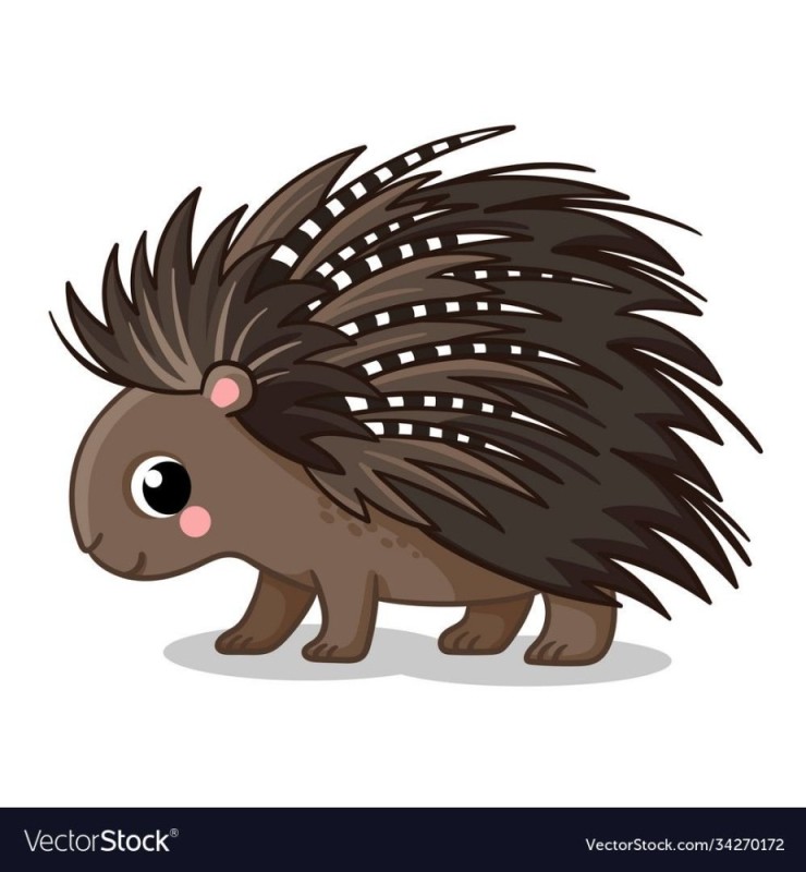 Create meme: porcupine , porcupine drawing, porcupine on a white background