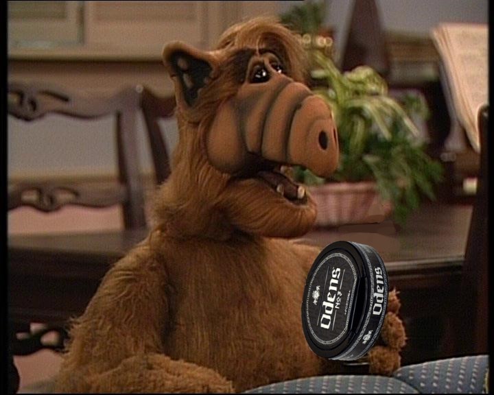 Create meme: Alf TV series 1986, Alf series, Alf Pro