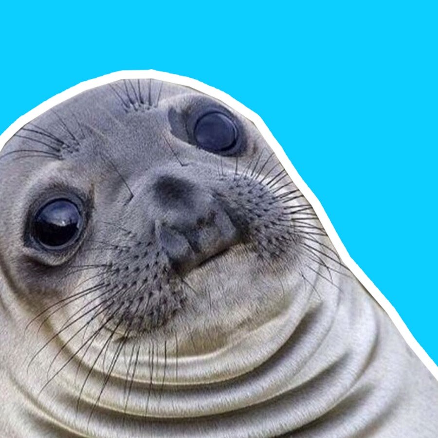 Create meme: memes with seals, Navy seal meme, seals meme