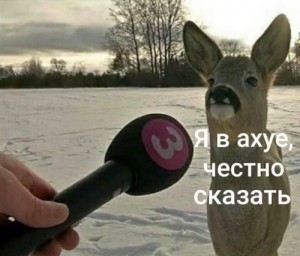 Создать мем: смешные мемы, twitter, meme