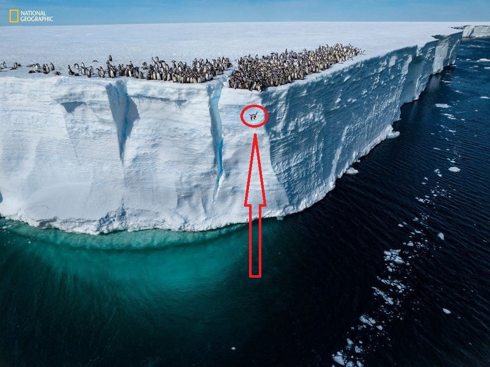 Create meme: the ice wall in Antarctica, Ross glacier in Antarctica, melting of Antarctica glaciers 1979-2020