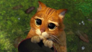 Create meme: the cat from Shrek with big eyes, the cat from Shrek photo of eyes pictures, the cat from Shrek eyes