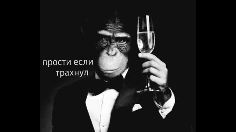 Create meme: the great Gatsby the glass , monkey in a tuxedo, people 