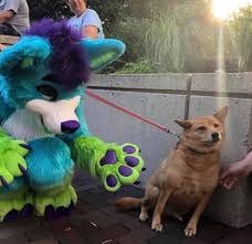 Create meme: pursuit, rainbow fursuit, fursuit