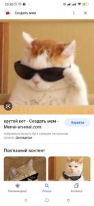 Создать мем: мемный кот, кот мем, крутой кот мем