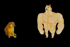 Create meme: inflated dog meme, doge meme Jock, doge Jock