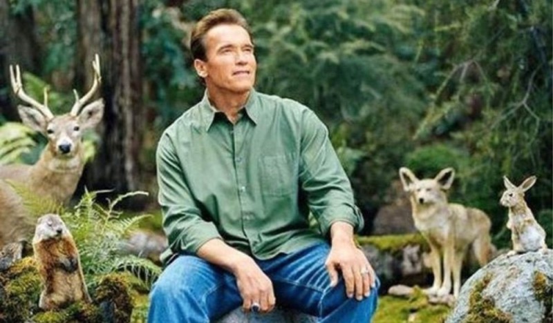 Create meme: Schwarzenegger on the nature of the meme, Schwarzenegger in the woods, Arnold in the forest with animals