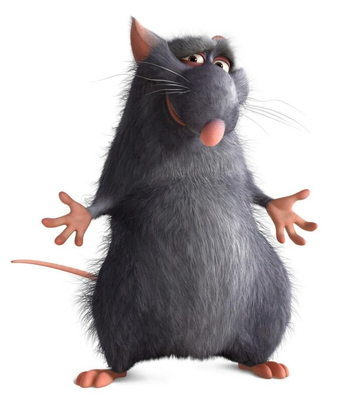 Create meme: ratatouille is a hob rat, Remy Ratatouille, ratatouille mouse