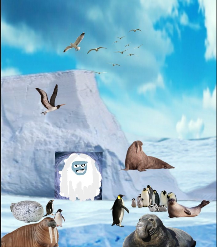 Create meme: antarctica animals, animals living in Antarctica, animals of Antarctica for children