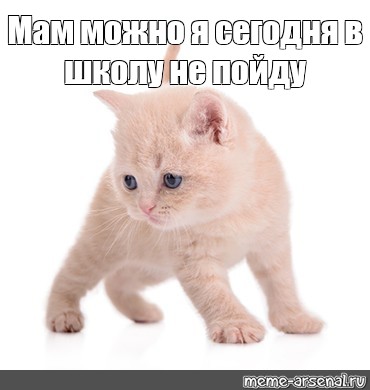 Meme: Мам можно я сегодня в школу не пойду - All Templates - Meme