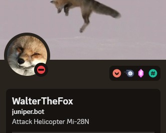 Create meme: text , Fox , Fox 