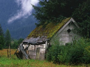 Создать мем: пейзаж, дом лес, хижина