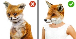 Create meme: black stoned Fox, nyasha Fox, Fox meme PNG
