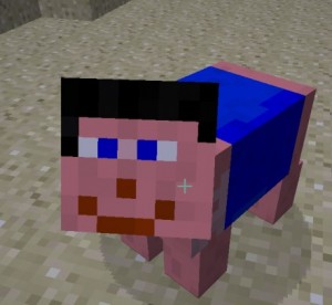 Create meme: texture bars for minecraft 1, minecraft, the coolest pictures minecraft