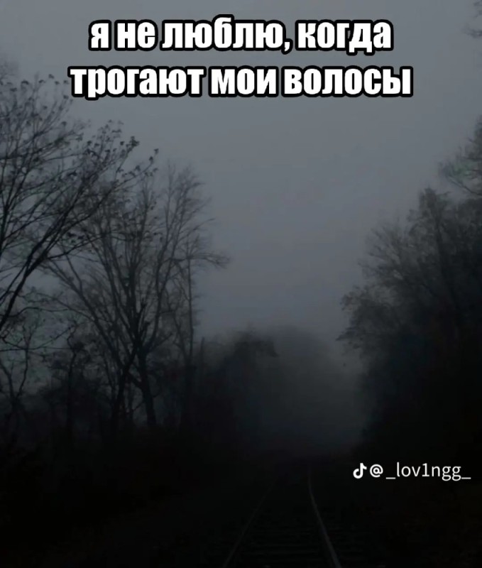 Create meme: a terrible road, The fog railway, The dark road