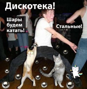 Создать мем: вечеринка с котами, танцующий кот, котик тусовщик