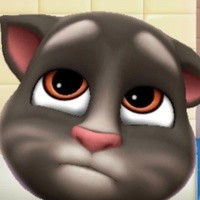 Create meme: my talking Tom 2, tom talking tom, talking Tom 2