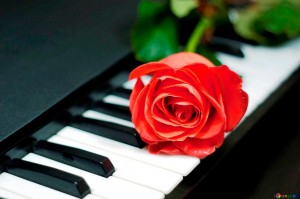 Create meme: piano keys and love beautiful, photos piano music and flowers, roses on a piano gif