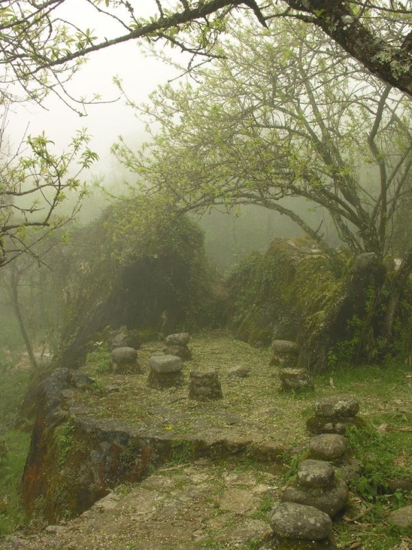 Create meme: mystical forest, Sintra Portugal, Portugal streets of Sintra