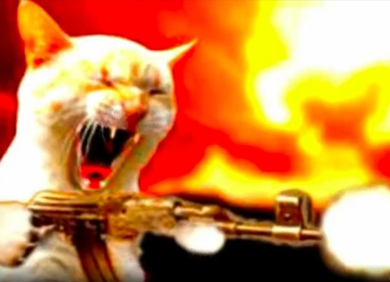 Create meme: cat with a machine gun, a cat with a gun, a cat with an ak 47