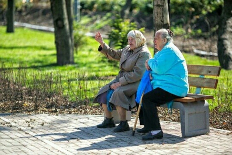 Create meme: the old lady on the bench, grannies on the bench, pensions