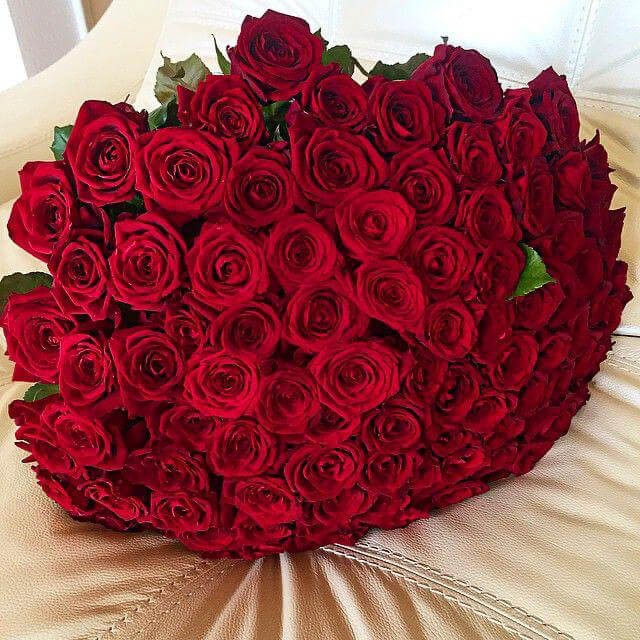 Create meme: bouquet of 101 roses, large bouquets of roses, huge bouquets of roses