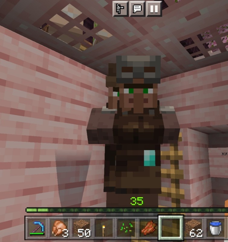 Create meme: minecraft , resident of bronnik minecraft, screenshot 