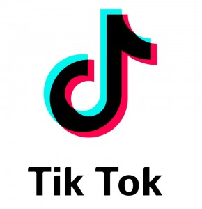 Create meme: Logo, tik tok the best, tik tok logo