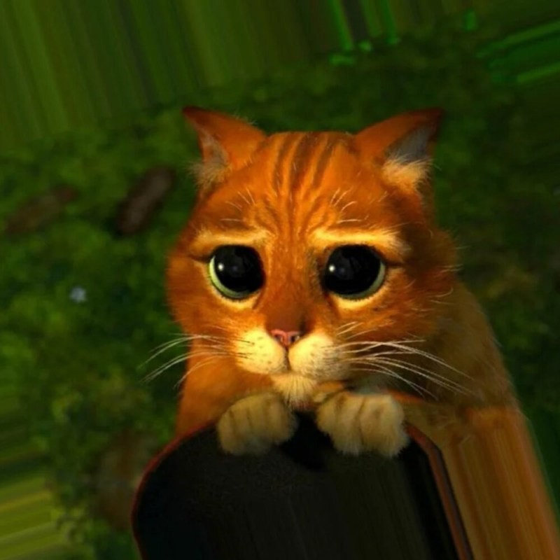 Create meme: the cat from Shrek , the shrek cat with sad eyes, the cat from Shrek 