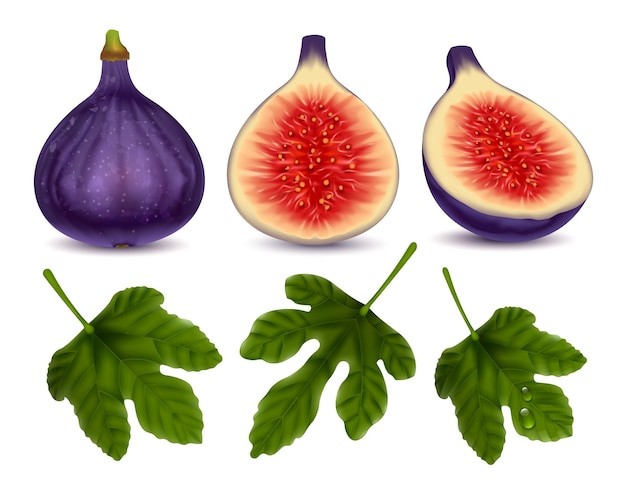 Create meme: figs, fig leaf, figs on a white background