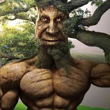 Create meme: people tree, male, nature