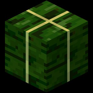 Создать мем: зеленаякерамиуа в майнкрафт, блок ламинарий майнкрафт, minecraft wiki