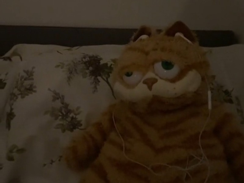 Create meme: soft toy cat garfield, garfield the cat toy, garfield plush toy