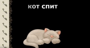 Create meme: budi basa pillow, to sew the pillow cat, the picture with the text