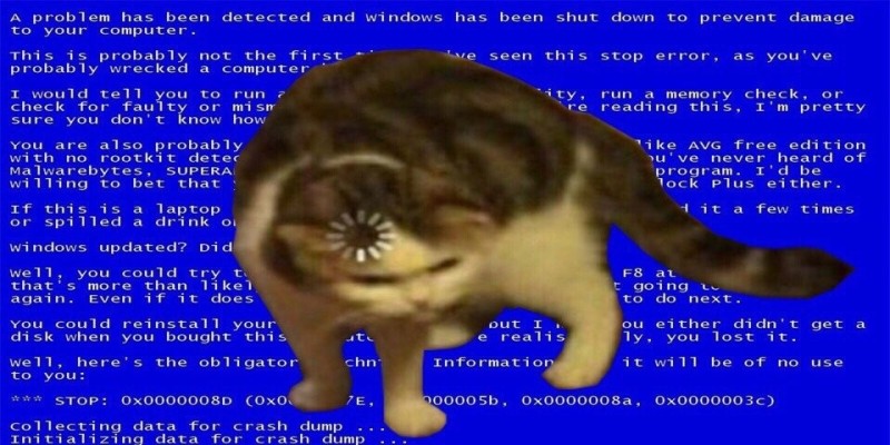 Create meme: cat download, a cat with a load on its head, The cat is loading