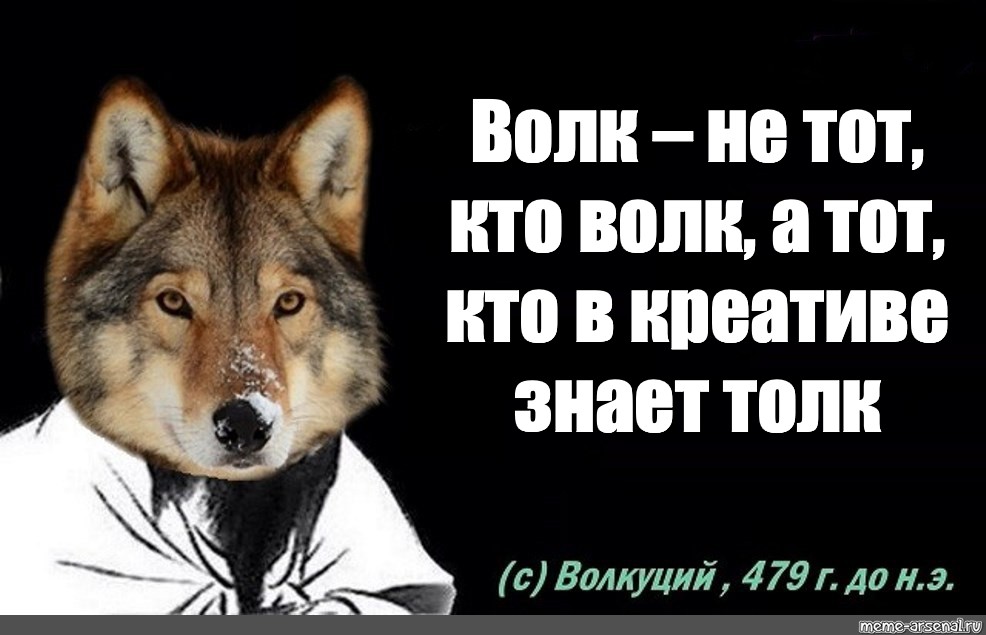 Волк не тот кто волк а тот кто волк Мем. Цитаты волка. Серый волк цитаты. Мемы с волками и Цитатами.