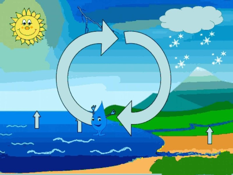 Create meme: the water cycle in nature