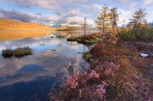 Create meme: the nature of the Kolyma river, the lake of Jack London by night, lake Jack London to Magadan