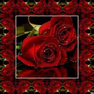 Create meme: gifs rose 240 320, red roses, GIF animate roses with love
