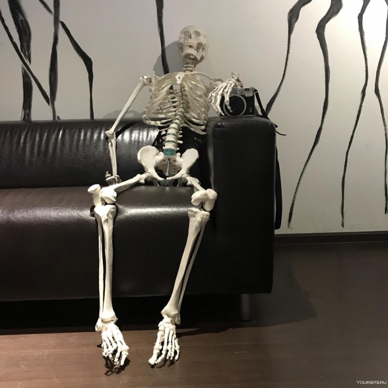 Создать мем: макет скелета, ждущий скелет, макет скелета человека