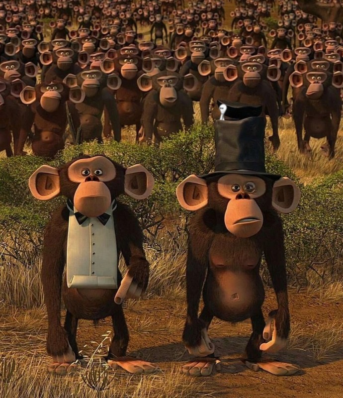 Create meme: madagascar monkeys cartoon, cartoon Madagascar, Madagascar 2 cartoon