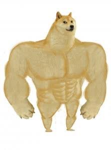 Create meme: doge meme Jock, doge Jock, dog Jock meme