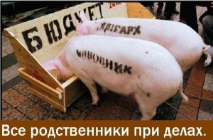 Create meme: trough for pigs, poropat at the trough, pig