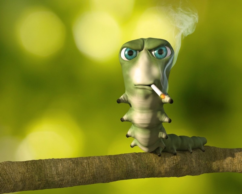 Создать мем: смешная гусеница, гусеница с сигаретой мем, червяк с сигаретой