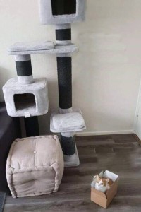 Create meme: scratching post, cat scratching post, house scratching post