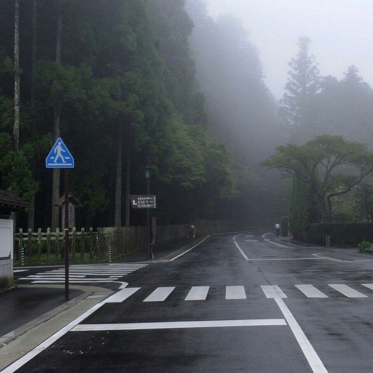 Create meme: wet asphalt, rain road, road 