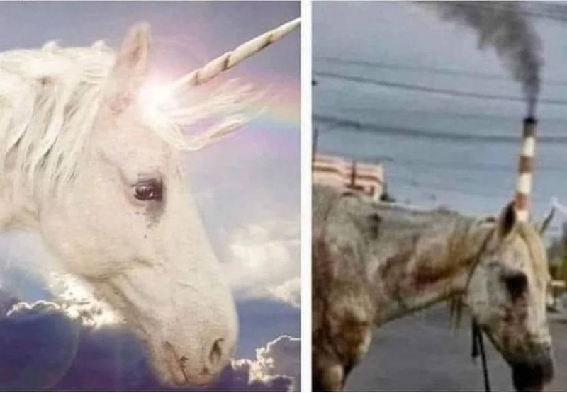 Create meme: the unicorn, unicorn 