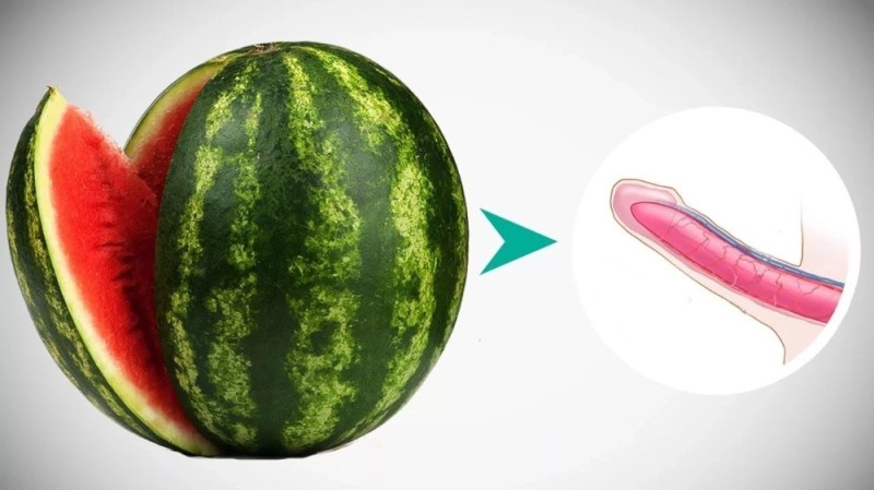 Create meme: watermelon , Majima watermelon, watermelon watermelon